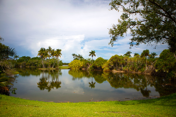 Fairchild Tropical Botanic Garden lake view