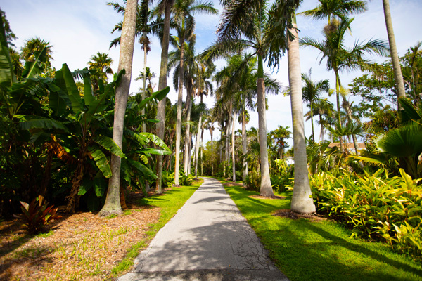 Fairchild Tropical Botanic Garden entrance view
