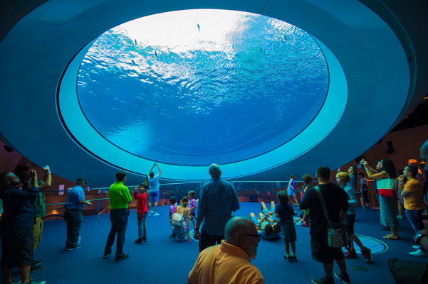 Gulf Stream Aquarium Oculus at Frost Science