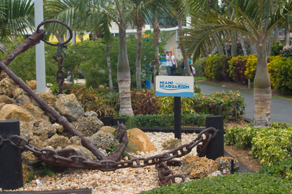 Miami Seaquarium Park Anchor
