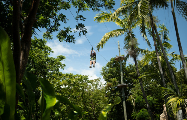 Jungle Island Treetop Trekking